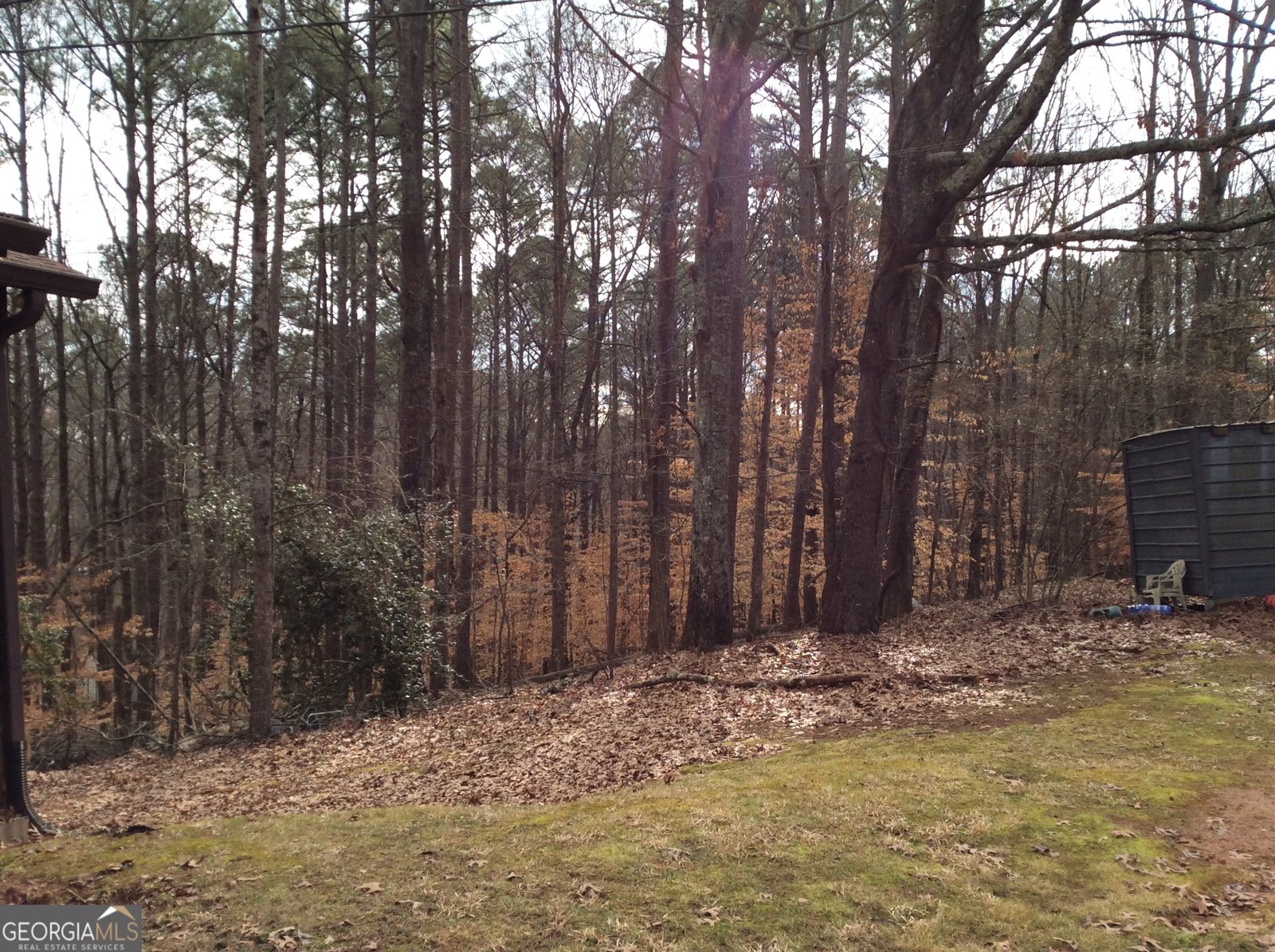 3161 Marble Quarry Road Canton - Photo 11