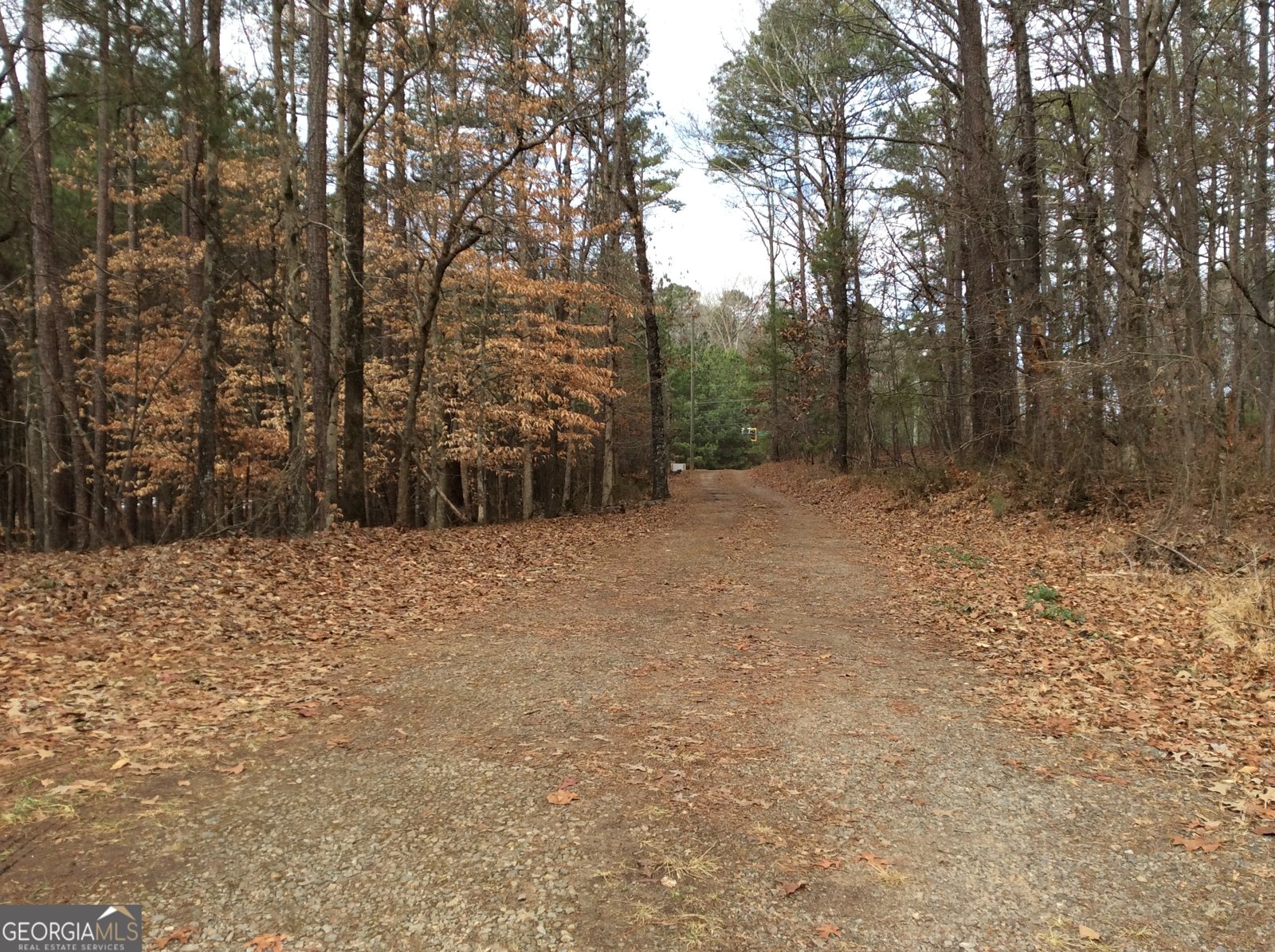 3161 Marble Quarry Road Canton - Photo 8