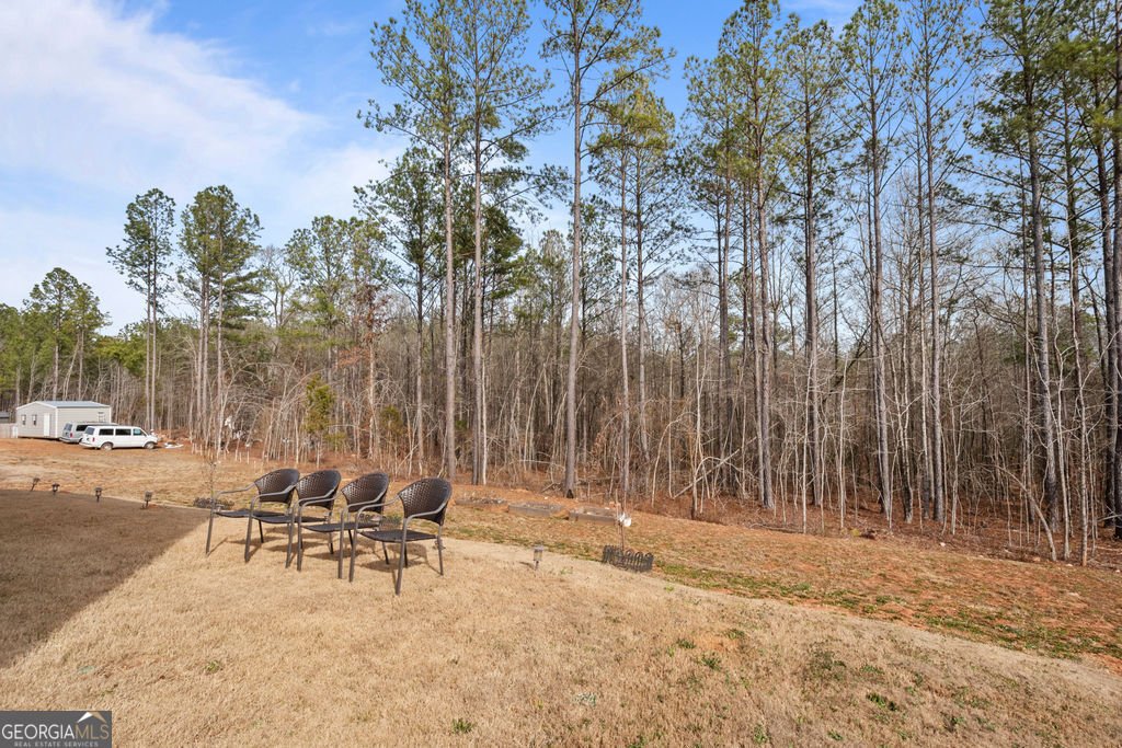 1410 Hunter Welch Parkway Luthersville - Photo 33