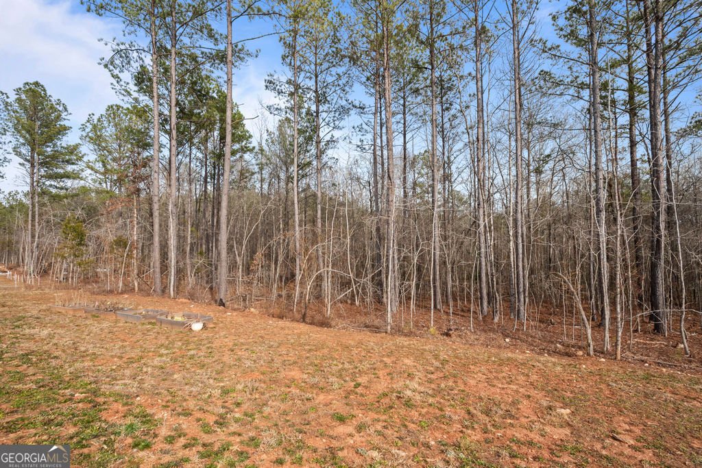 1410 Hunter Welch Parkway Luthersville - Photo 35