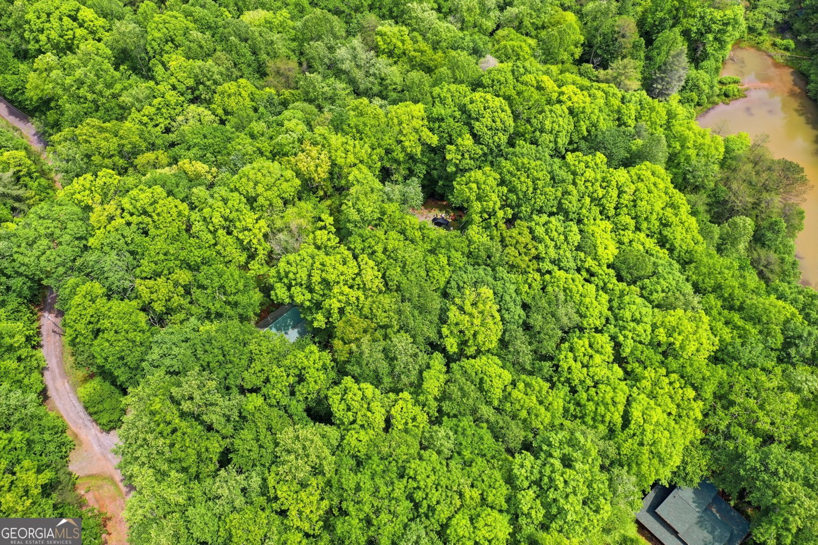 1564 Big Ben Road Ellijay - Photo 47