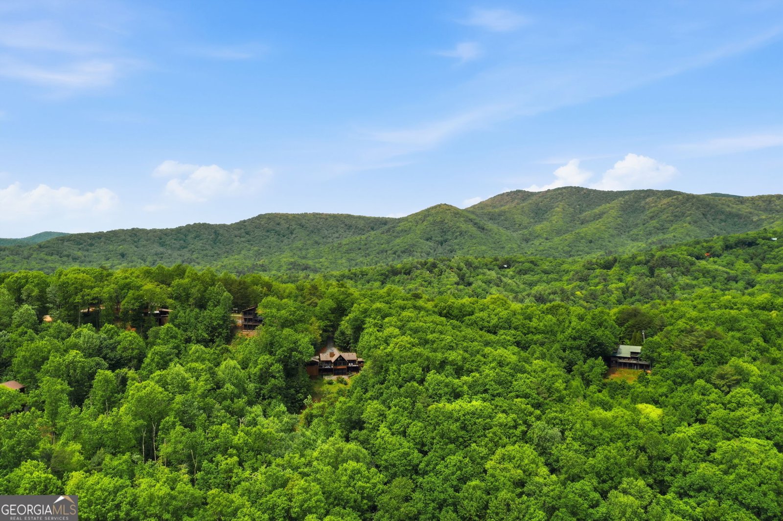 1564 Big Ben Road Ellijay - Photo 52