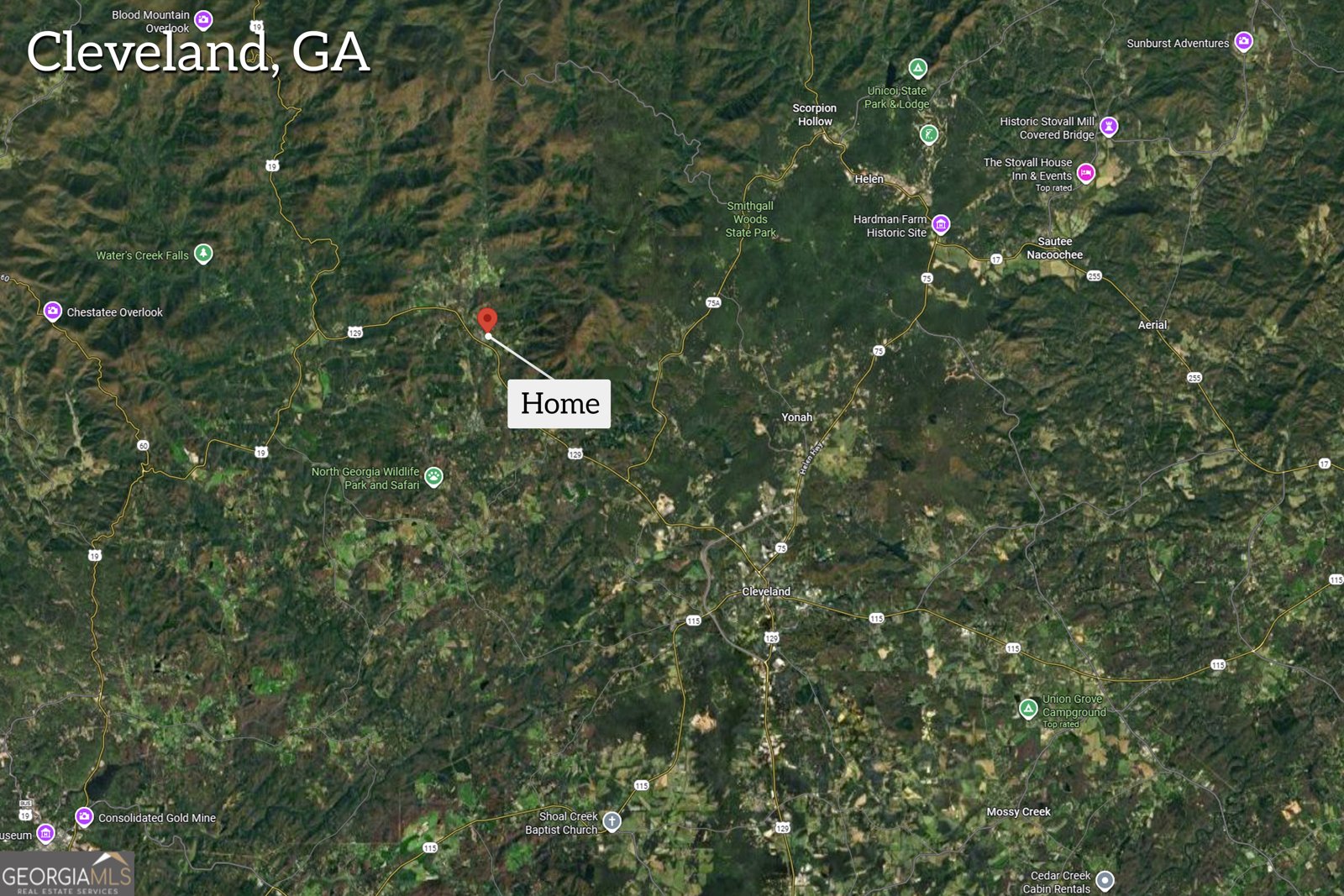 117 Foothills Drive Cleveland - Photo 59