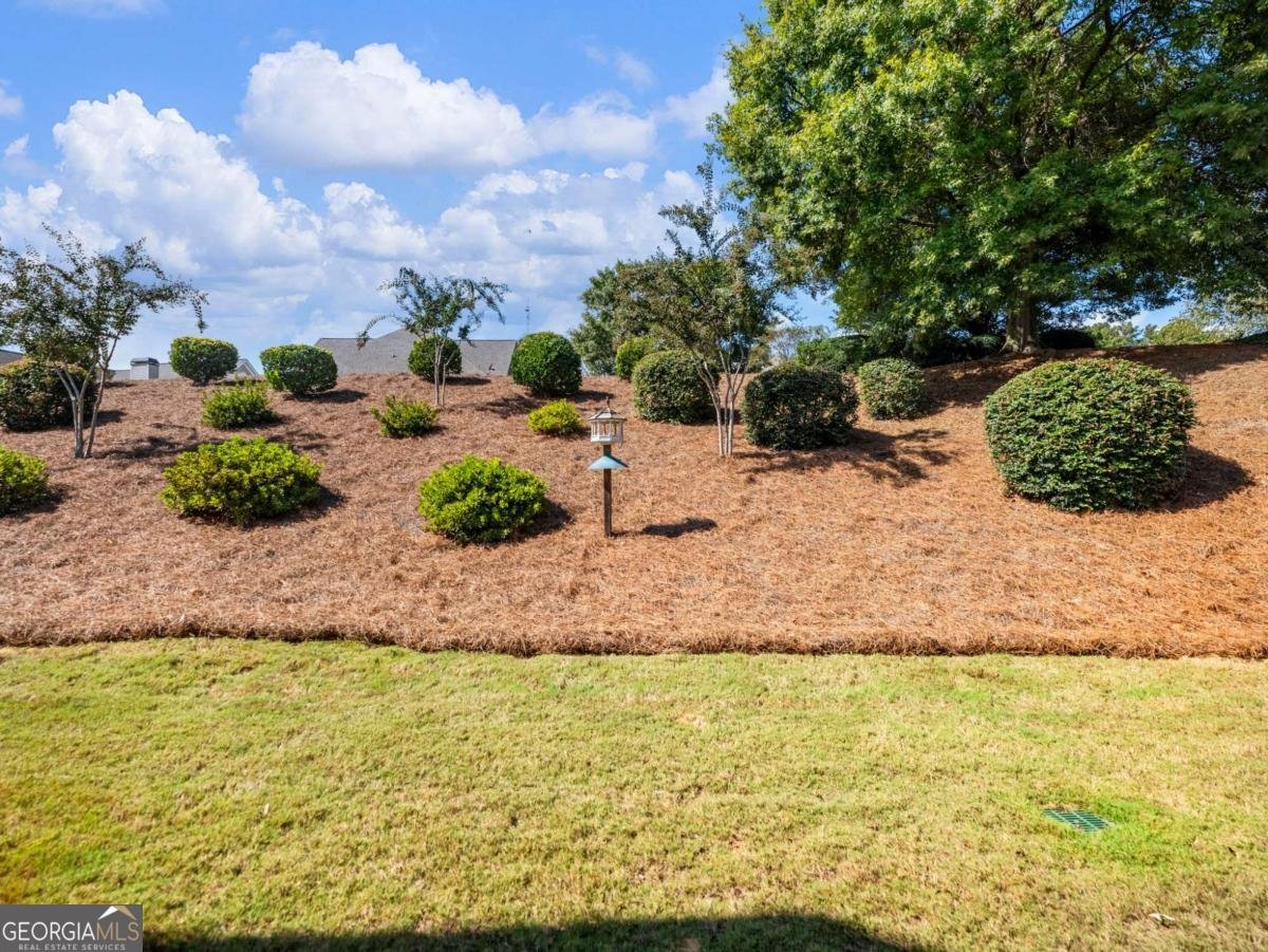 92 Hawthorn Way Hoschton - Photo 52