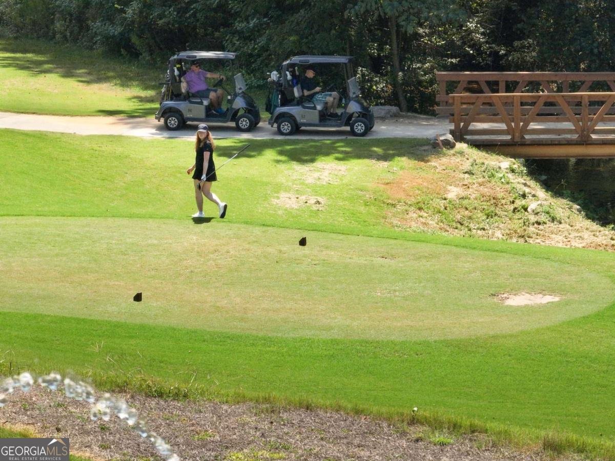 5921 Yoshino Cherry Lane Braselton - Photo 97