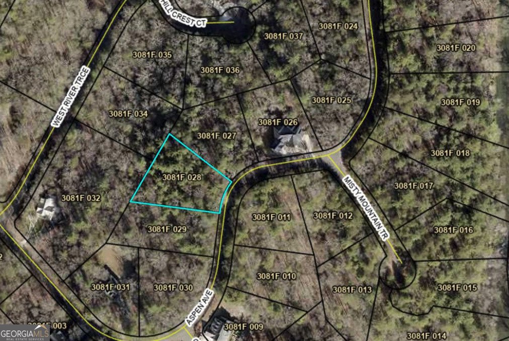 291 Aspen Avenue Ellijay - Photo 67