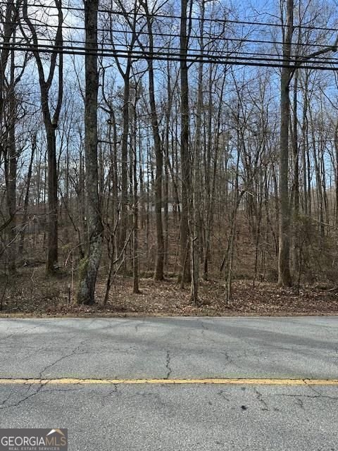 1436 Heritage Court Villa Rica - Photo 28