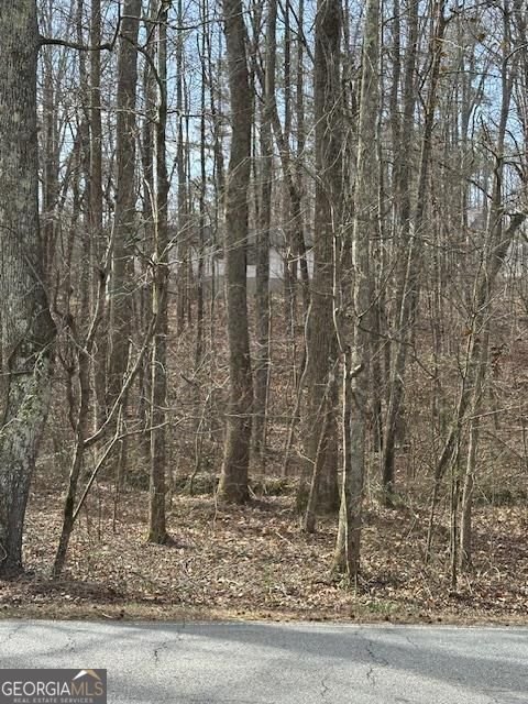 1436 Heritage Court Villa Rica - Photo 29