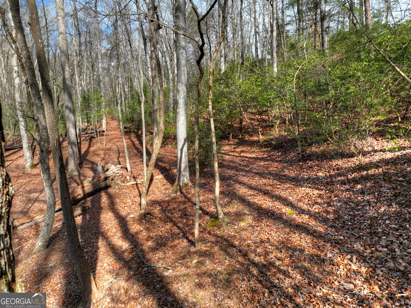 29 Robert Drive Ellijay - Photo 52