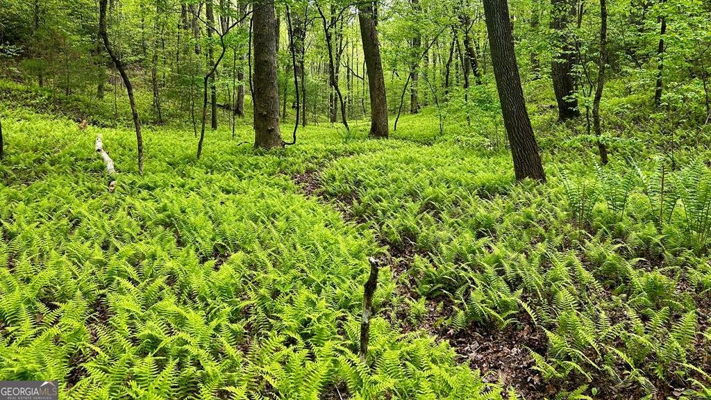 29 Robert Drive Ellijay - Photo 57