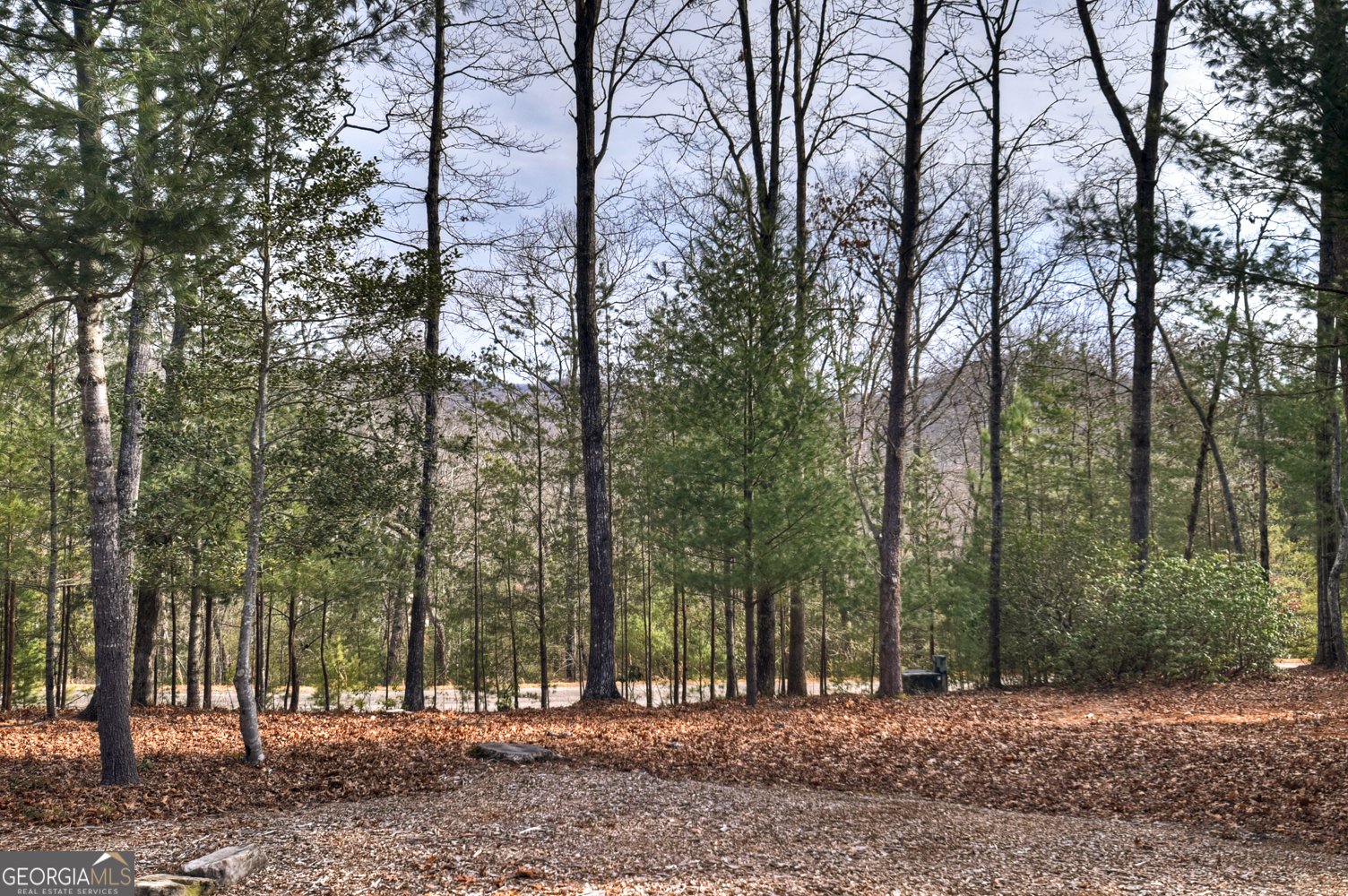 29 Robert Drive Ellijay - Photo 7