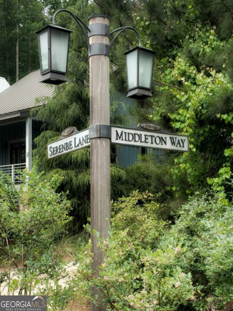 10671 Serenbe Lane Chattahoochee Hills - Photo 41