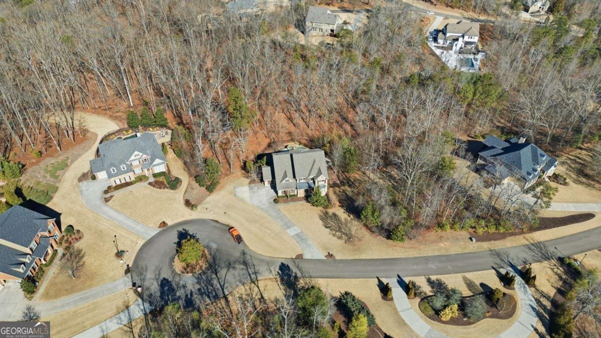 2510 Belle Patrice Drive Cumming - Photo 60