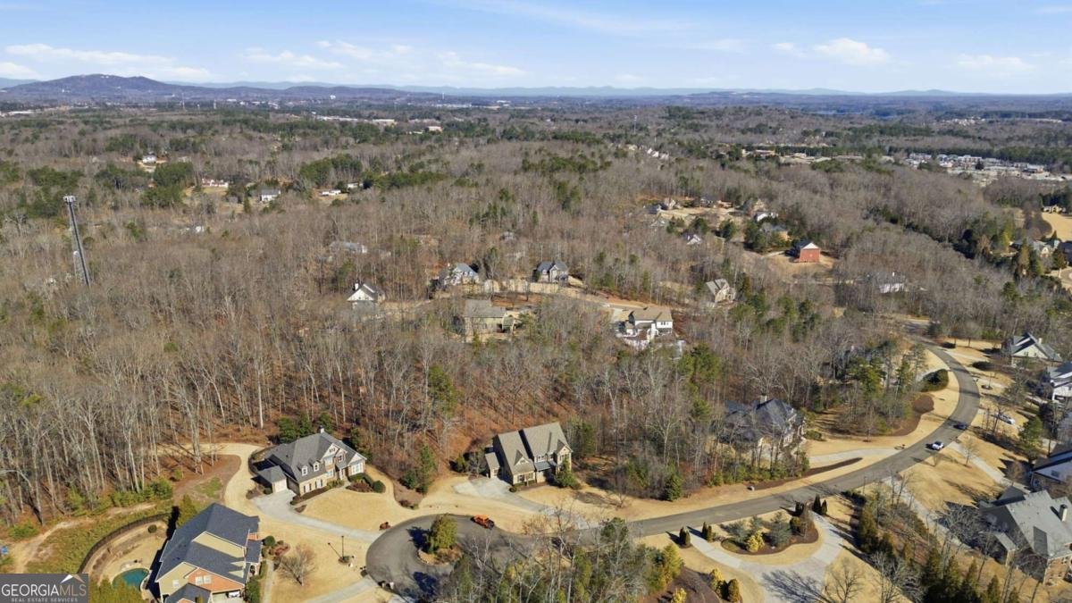 2510 Belle Patrice Drive Cumming - Photo 61