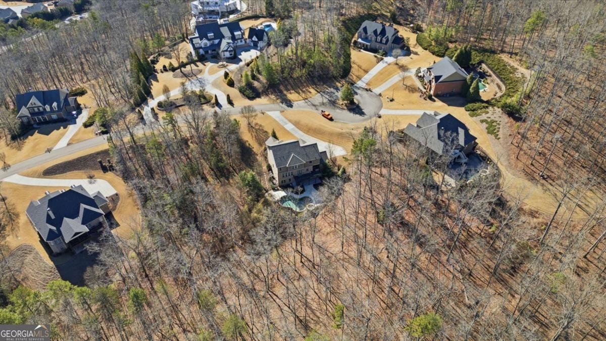 2510 Belle Patrice Drive Cumming - Photo 63