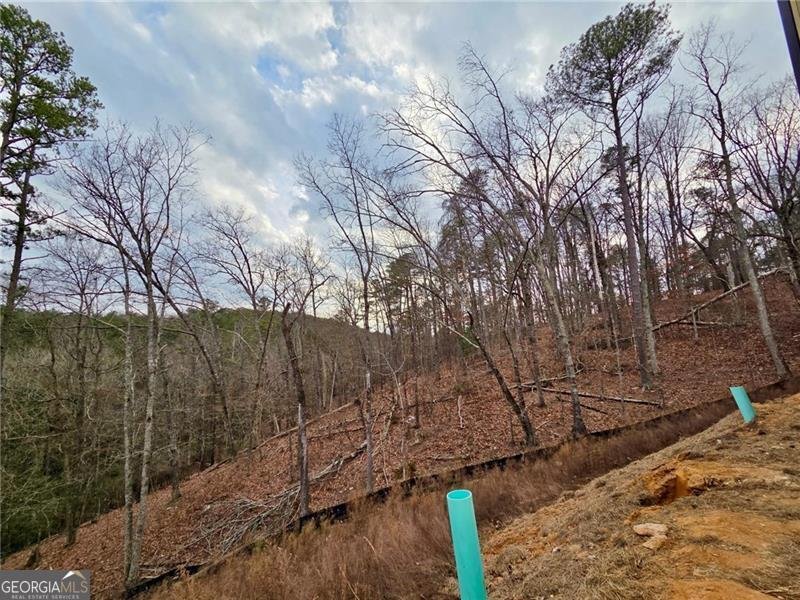 173 Waterview Court Waleska - Photo 16