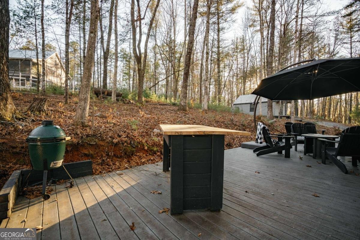 31 Highland Hammock Drive Blue Ridge - Photo 60