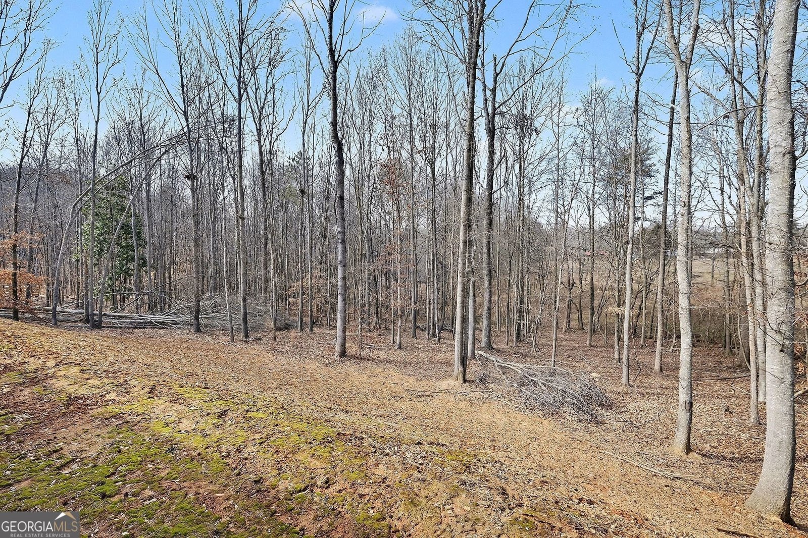 110 Rocky Branch Drive Murrayville - Photo 27