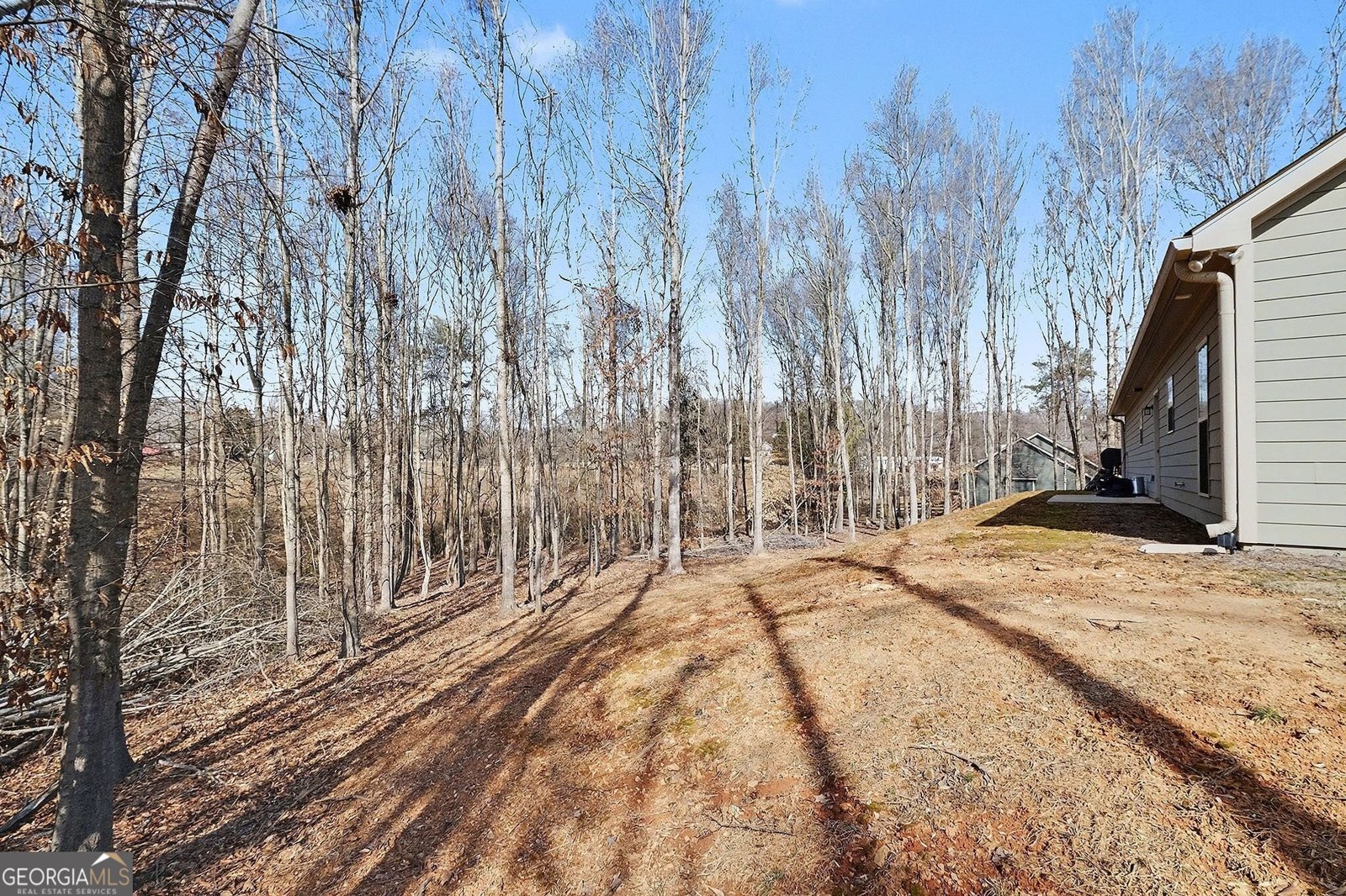 110 Rocky Branch Drive Murrayville - Photo 28