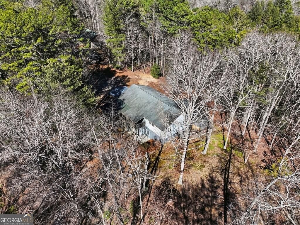 387 Ruby Lane Mineral Bluff - Photo 23