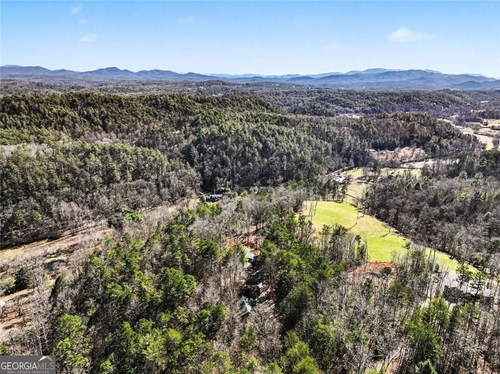 387 Ruby Lane Mineral Bluff - Photo 24