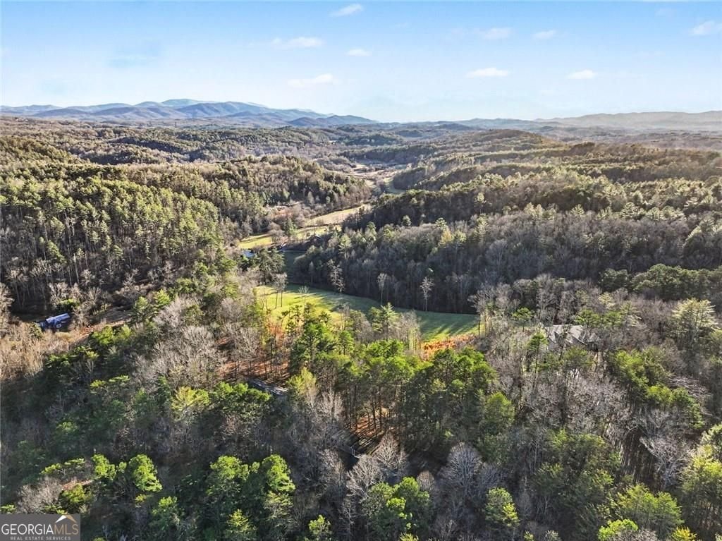 387 Ruby Lane Mineral Bluff - Photo 25