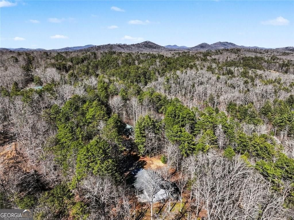 387 Ruby Lane Mineral Bluff - Photo 26