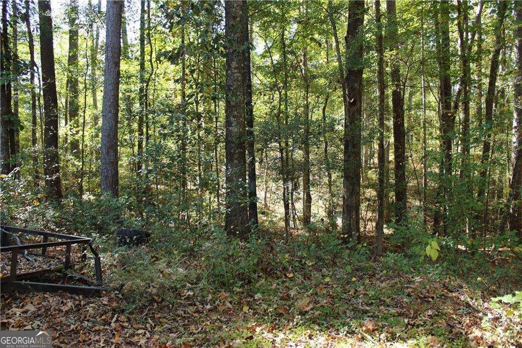 4012 Union Church Road Stockbridge - Photo 46