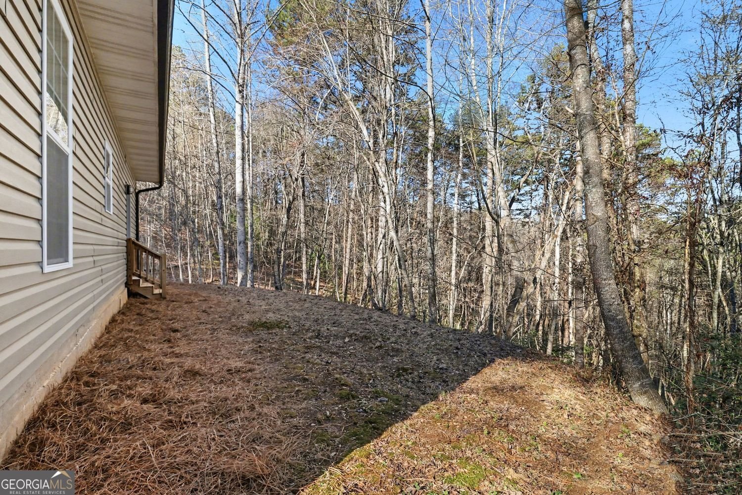 365 Ruby Lane Mineral Bluff - Photo 26