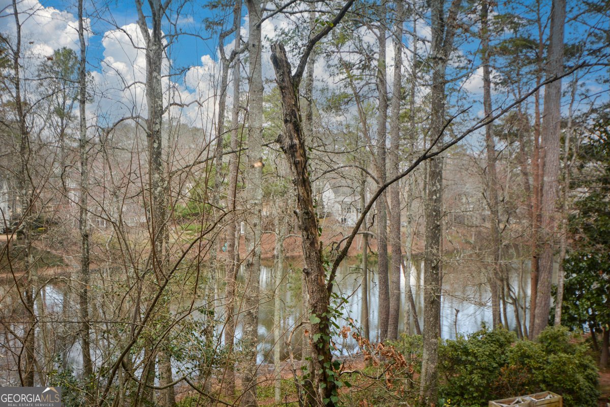 1501 Kingfisher Drive Marietta - Photo 29