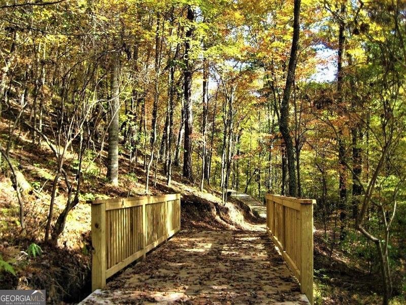 177 Waterview Court Waleska - Photo 31