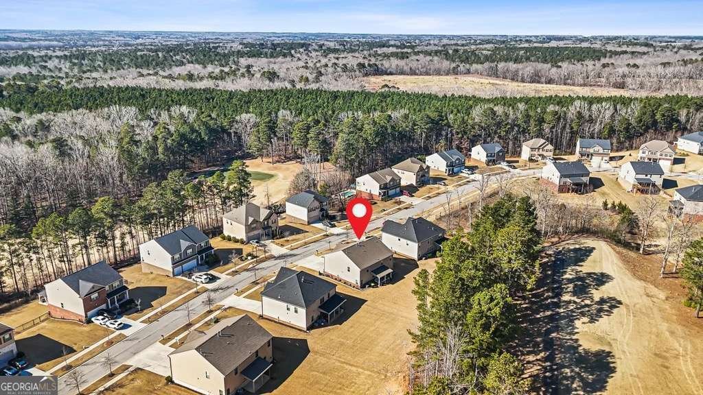 8033 Louis Drive Locust Grove - Photo 46