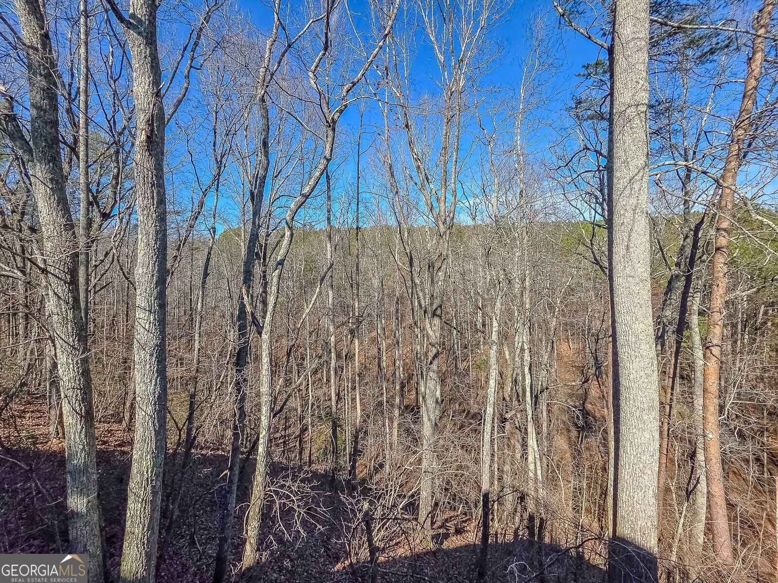 165 Horseshoe Bend Jasper - Photo 35