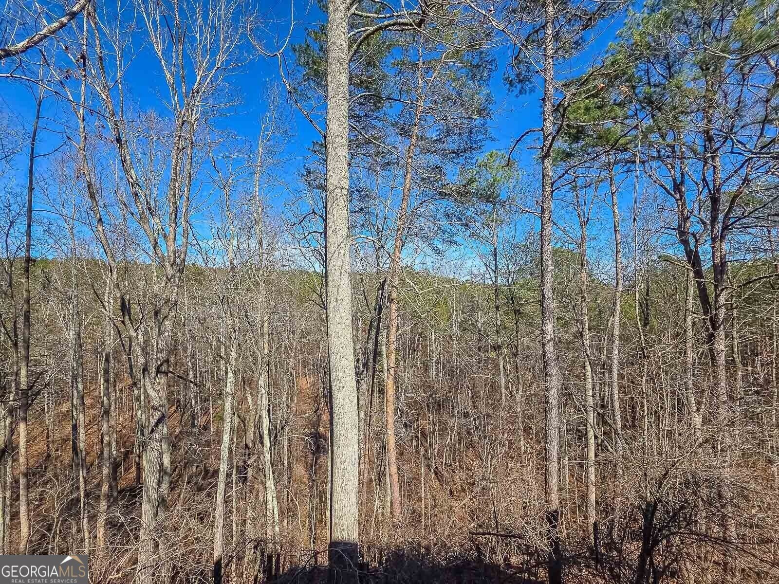 165 Horseshoe Bend Jasper - Photo 36