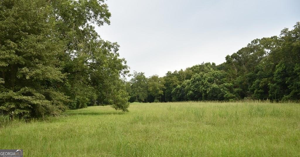 305 BAKER Street Glennville - Photo 6