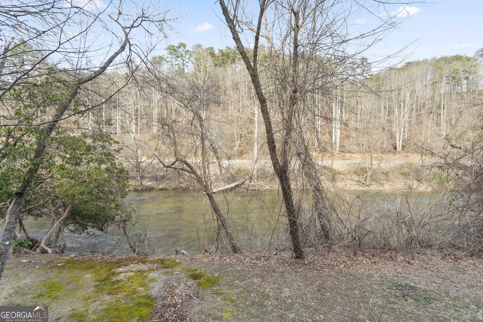 641 Riverside Drive East Ellijay - Photo 33