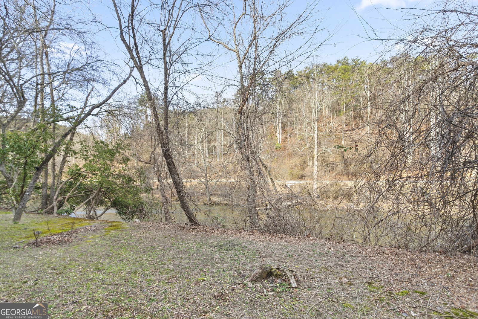 641 Riverside Drive East Ellijay - Photo 36