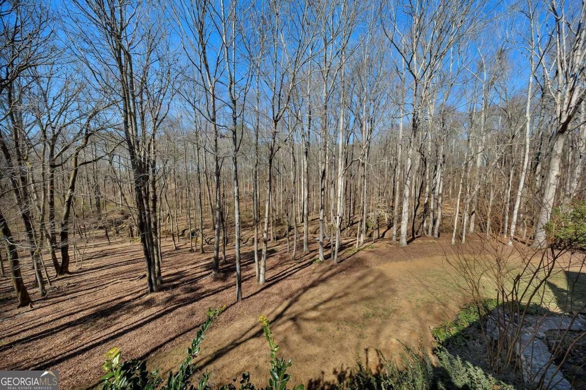 142 Rosebury Drive Canton - Photo 37