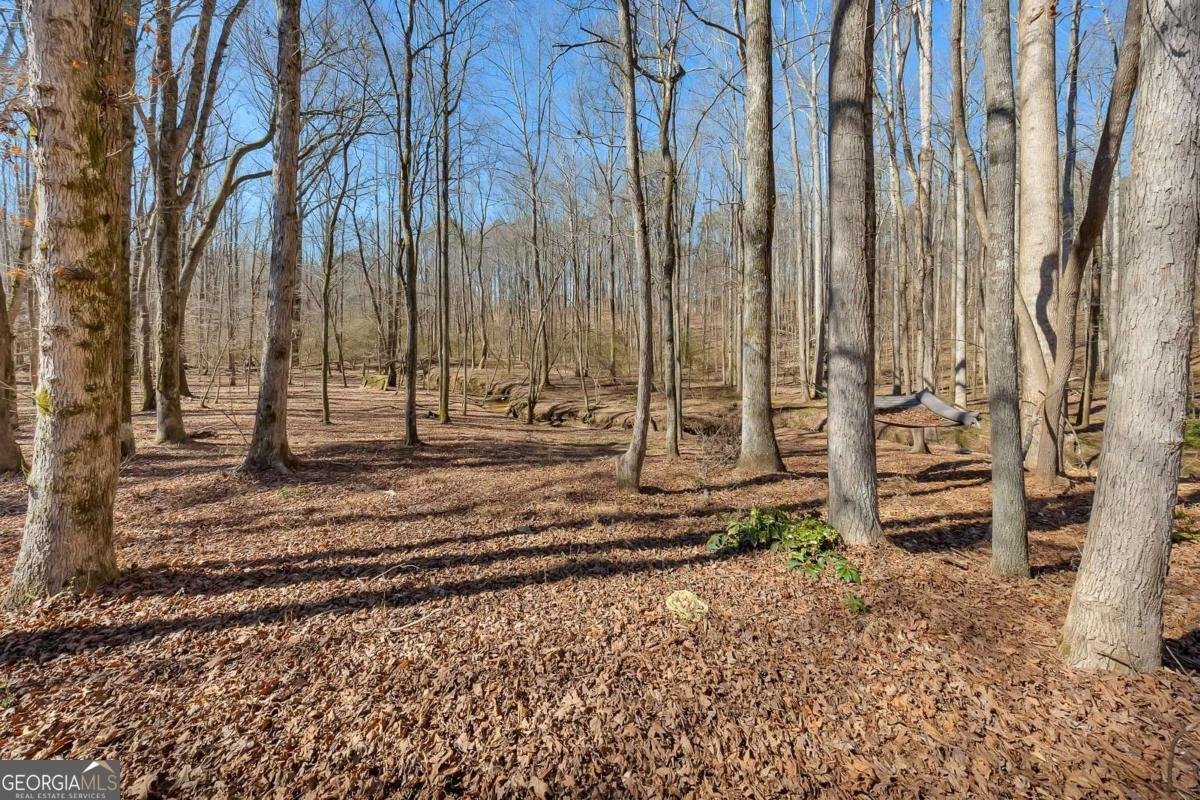 142 Rosebury Drive Canton - Photo 41