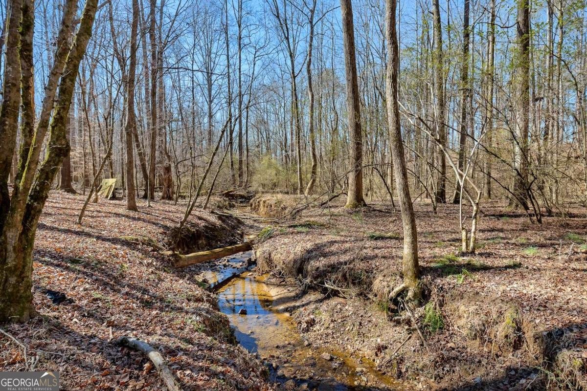 142 Rosebury Drive Canton - Photo 42