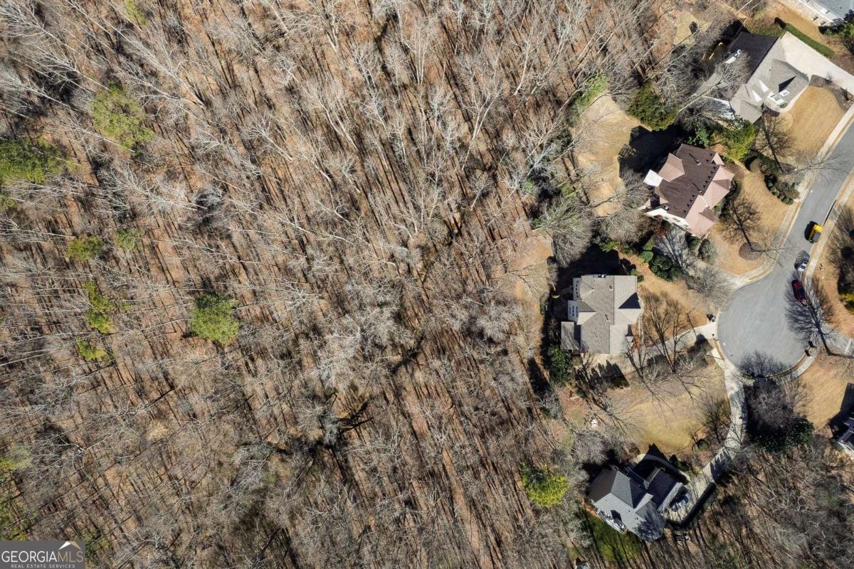 142 Rosebury Drive Canton - Photo 47