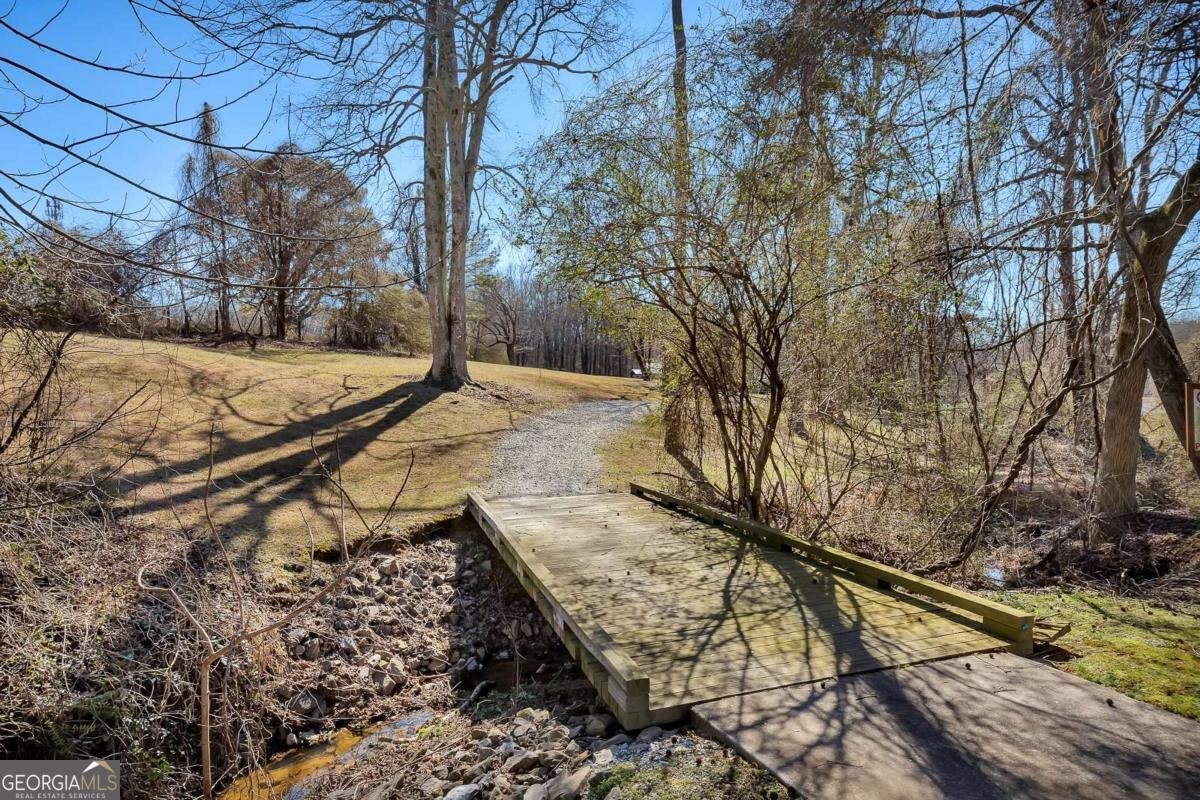 142 Rosebury Drive Canton - Photo 53