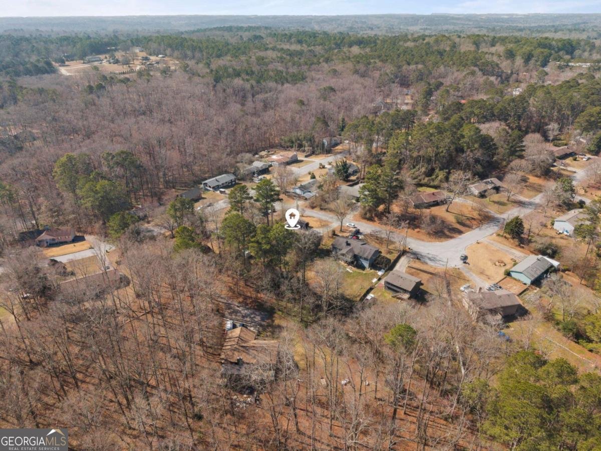 1384 Country Lane Way NE Conyers - Photo 42