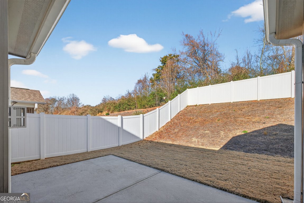 6928 Manchester Drive Flowery Branch - Photo 41