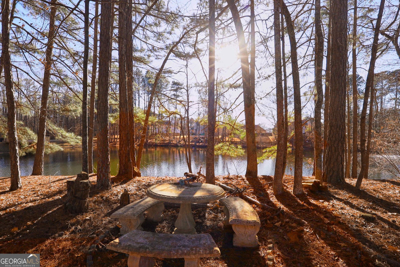 412 Antler Lane Suwanee - Photo 29