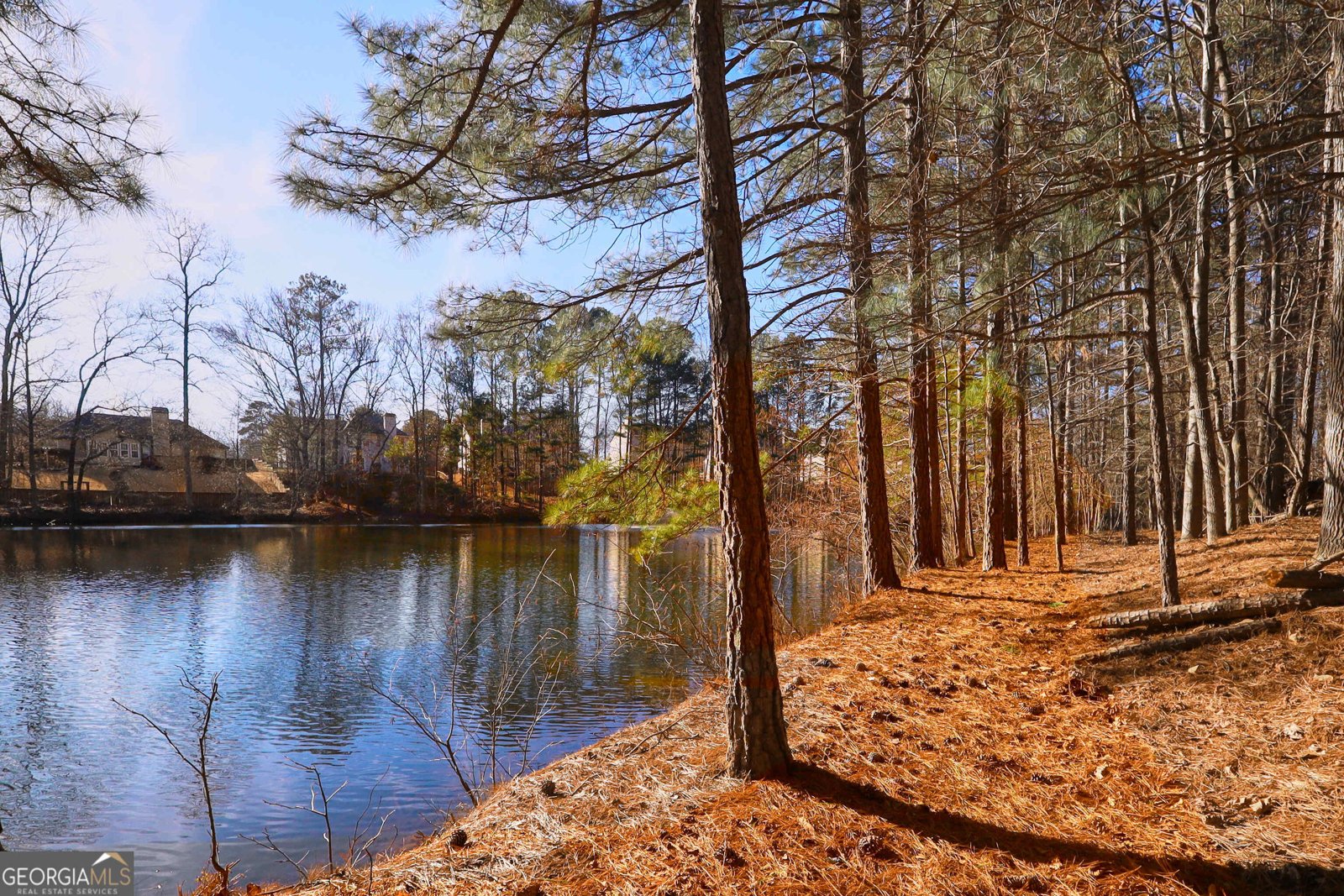 412 Antler Lane Suwanee - Photo 30