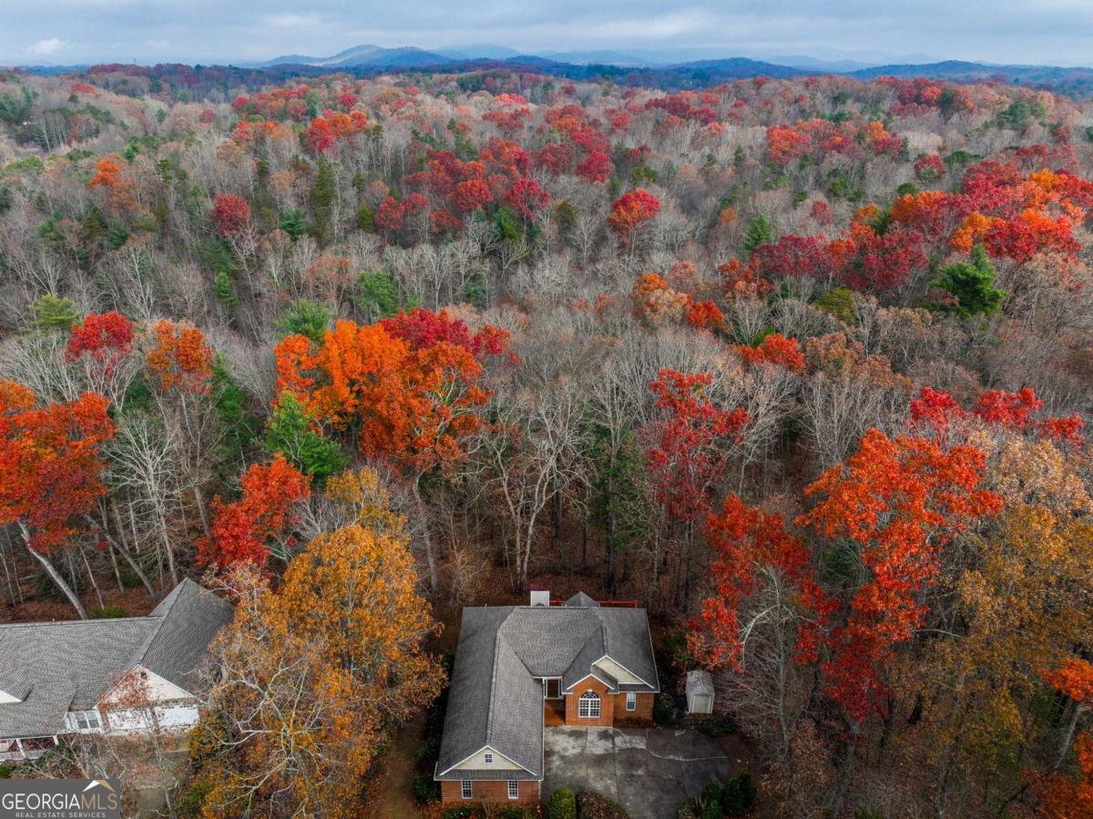82 Thornwood Court Ellijay - Photo 42