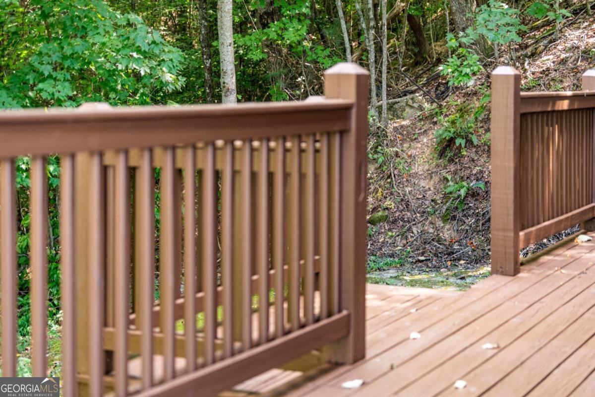 469 Mountain High Drive Mineral Bluff - Photo 46