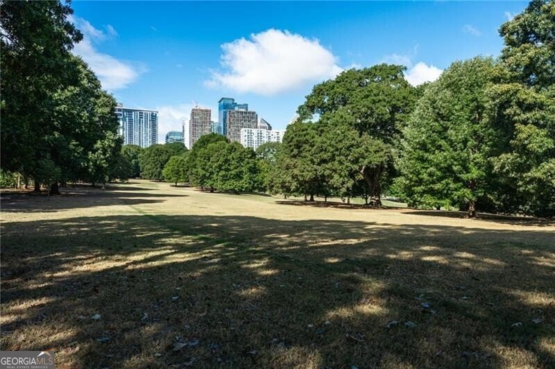 1029 Piedmont Avenue Atlanta - Photo 44