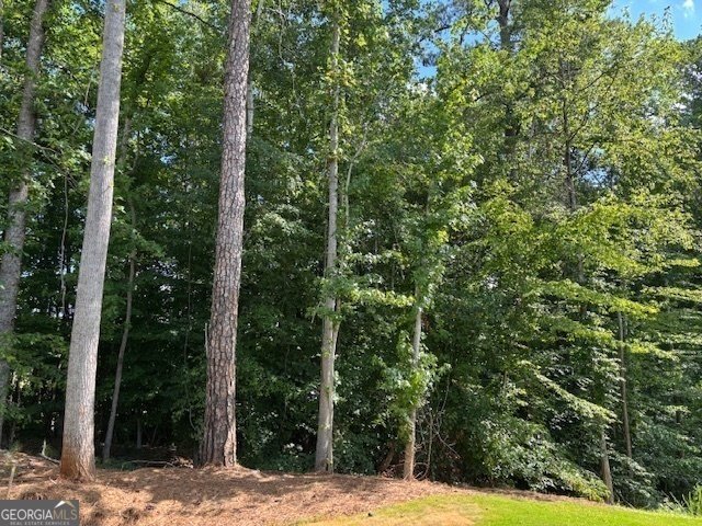 4220 Cavalier Way Duluth - Photo 8